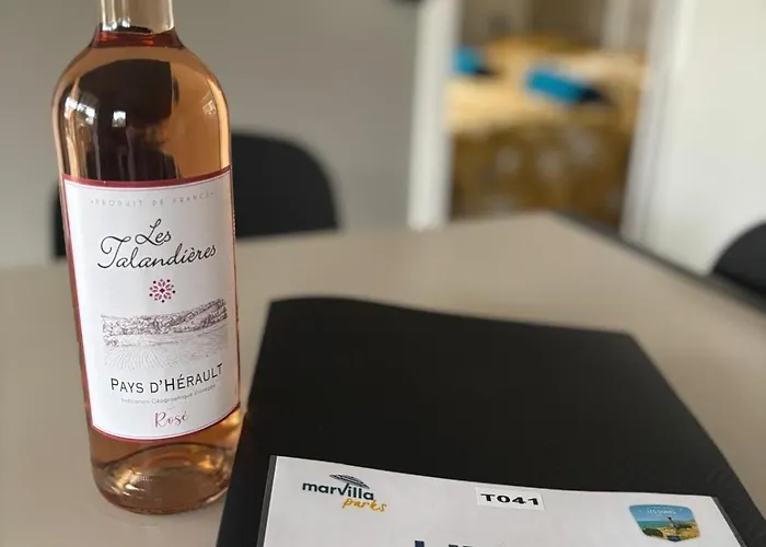 Mobil-home Les Pieds Dans L'eau Les Dunes 5