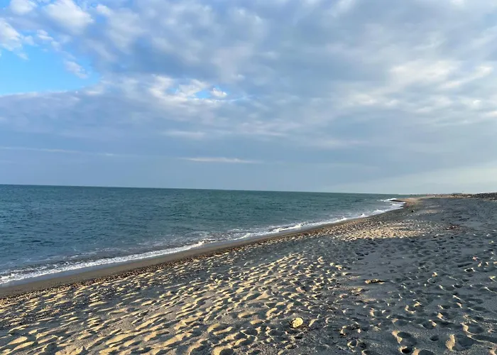 Dağ evi Mobil-home Les Pieds Dans L'eau Les Dunes 5